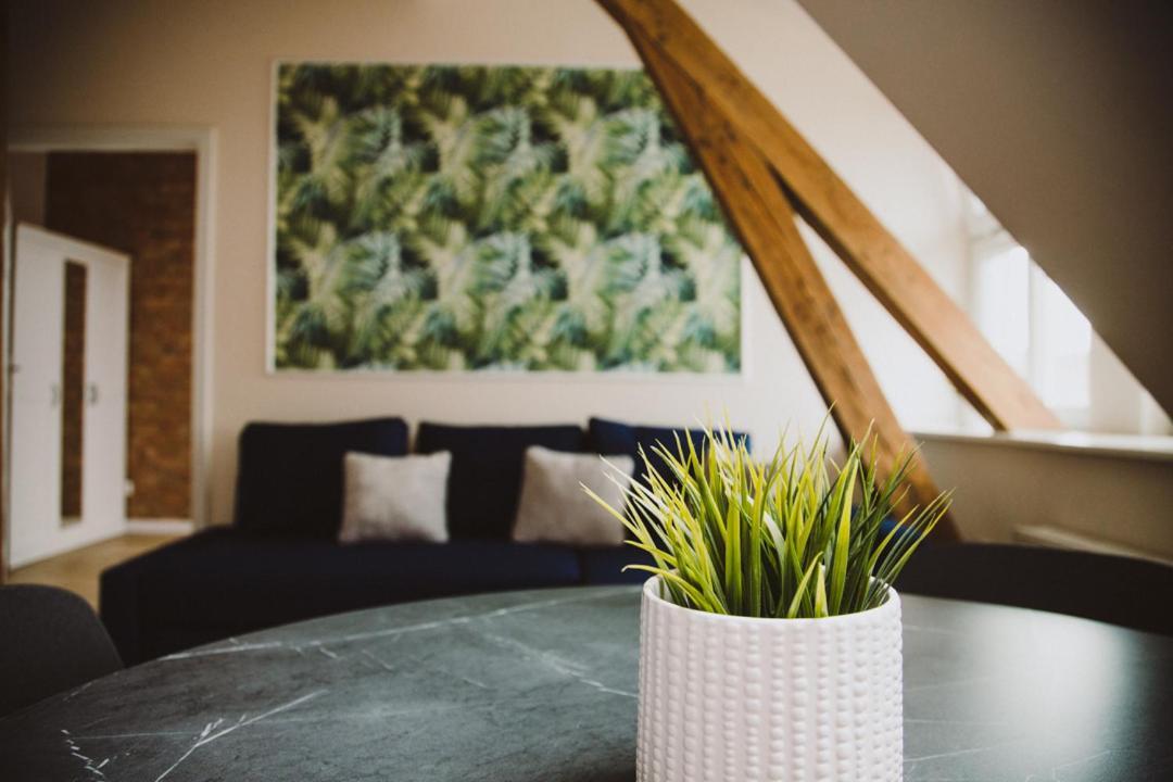 Apartamenty Leszno Ngoại thất bức ảnh